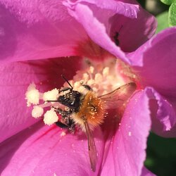 Sommerhitze I
